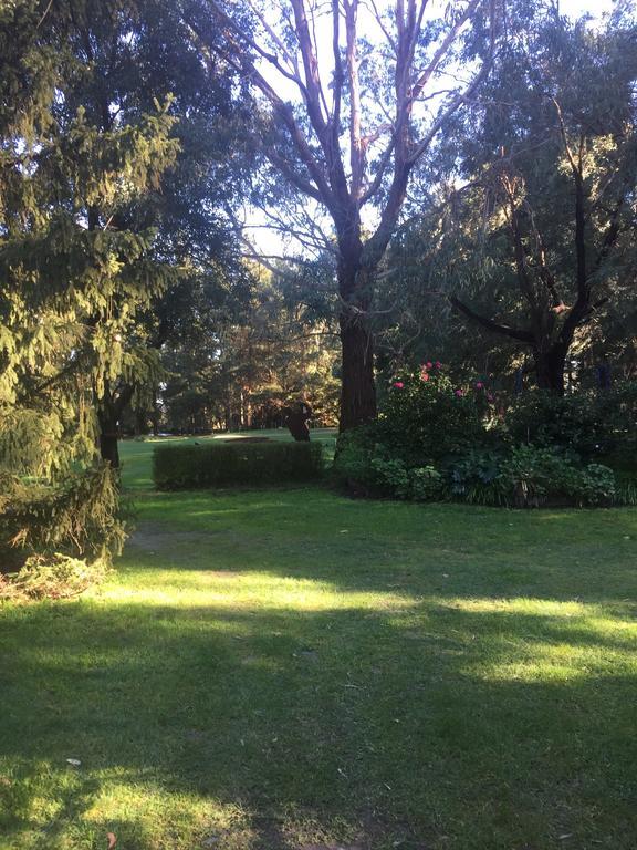 Sherwood Park Bed And Breakfast Somerville Kültér fotó